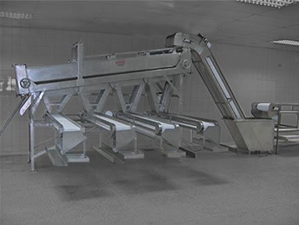Máquina clasificadora de camarón 1