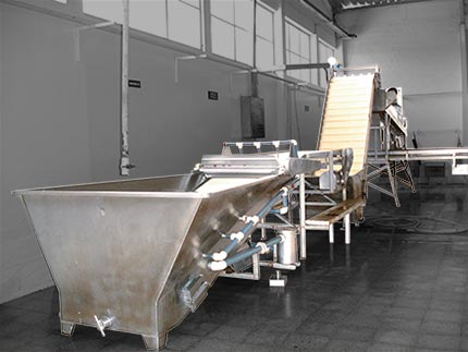 Máquina clasificadora de camarón 2